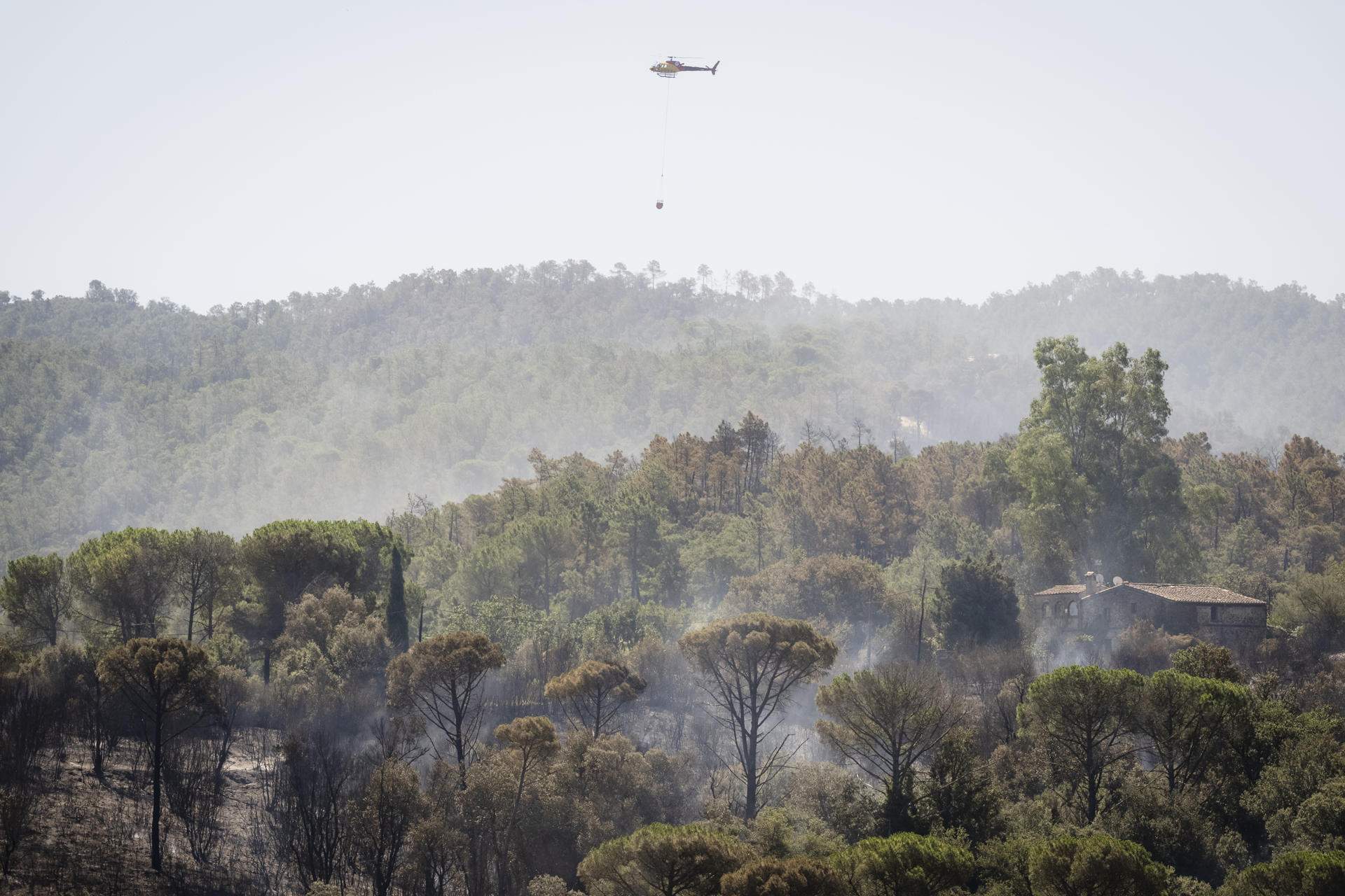 Incivisme a les Gavarres: els Agents Rurals detecten ciclistes dins del perímetre tancat de l’incendi