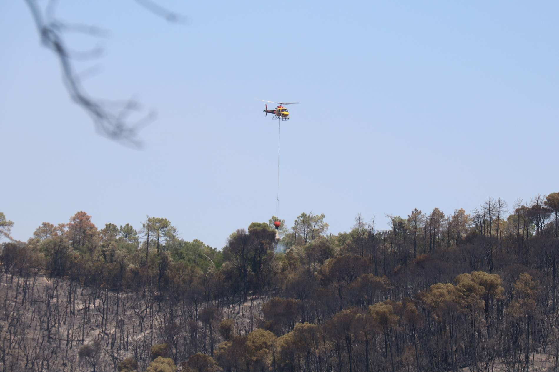 Continua l'incendi de les Gavarres amb revifades durant la matinada i preocupació per l'onada de calor
