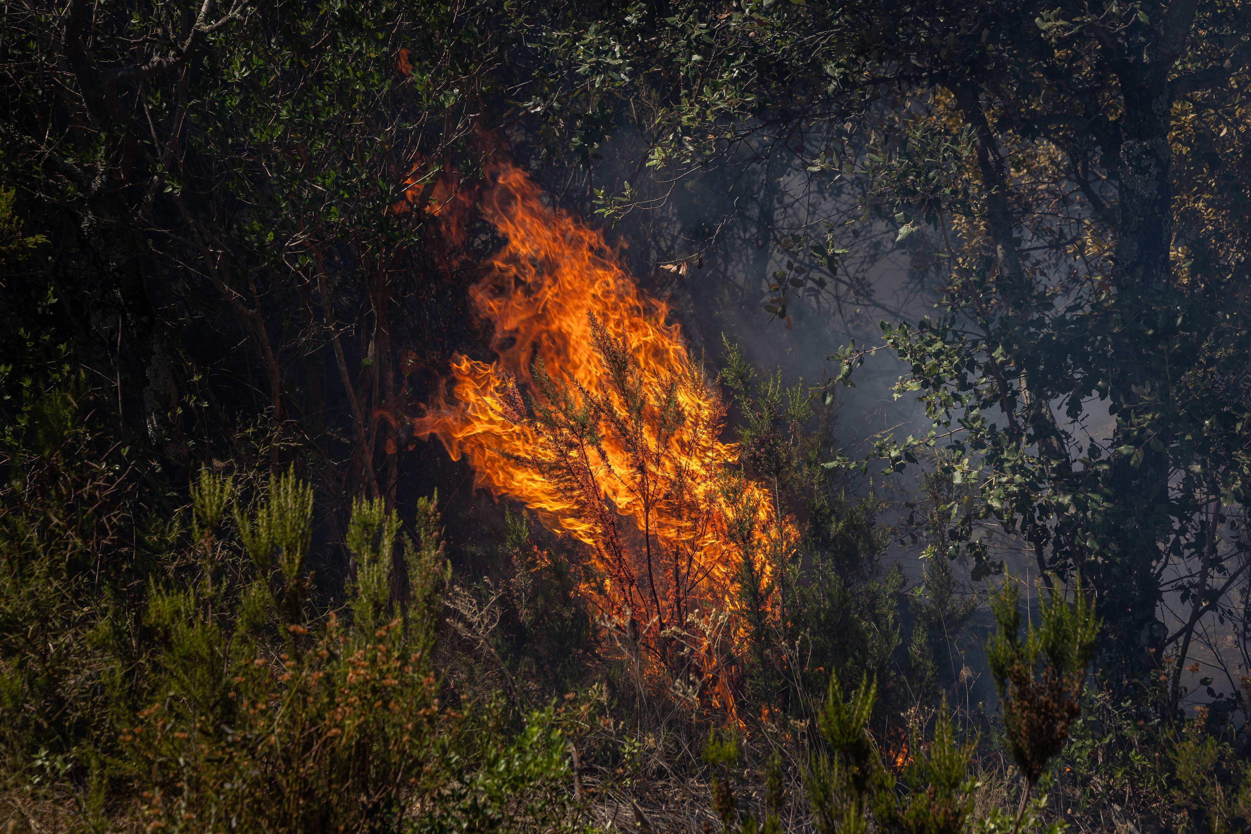Alerta màxima d'incendi a nou comarques: consulta la llista de municipis en perill