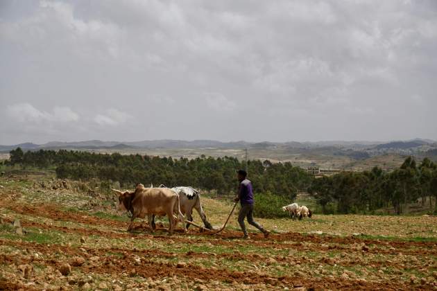 asmara eritrea unsplash