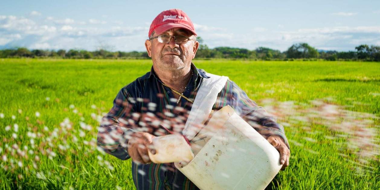 Cultivar arroz en la Luna es posible y solo haría falta lo mismo que en la Tierra