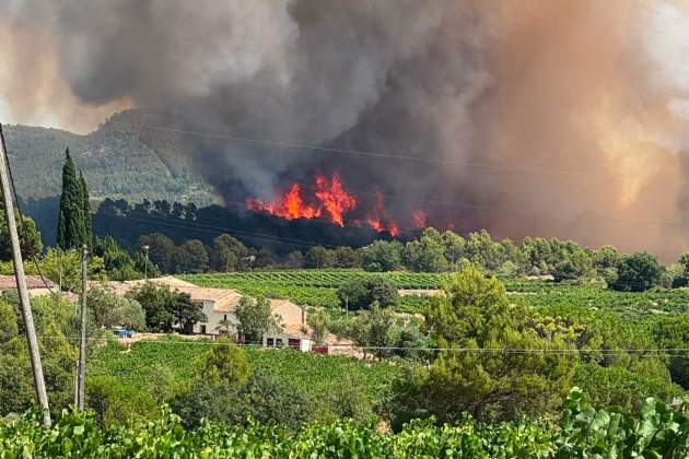 L'incendi al pla de Manlleu / Cedida L'incendi al pla de Manlleu / Cedida