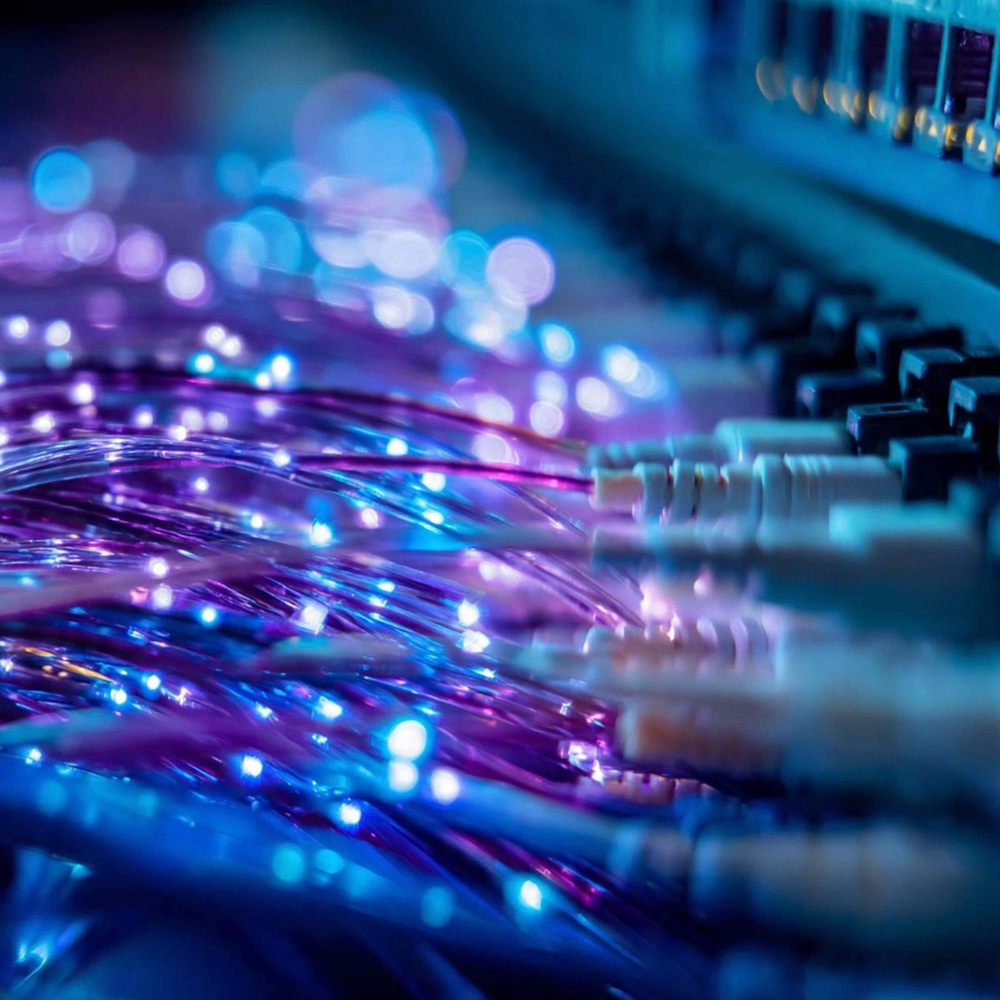 El sector digital obre el debat sobre com adaptar la regulació de xarxes a un mercat de fibra ja madur