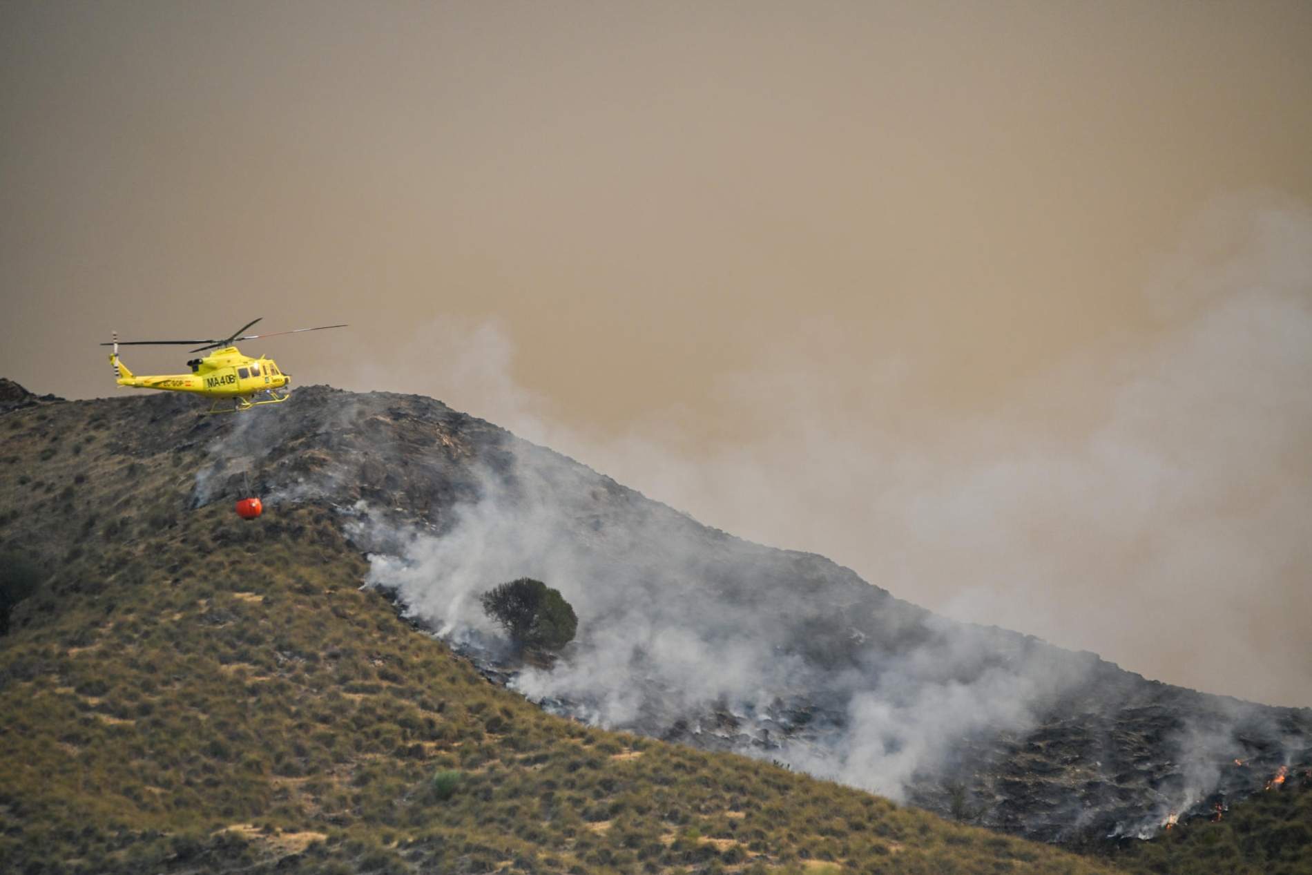 Dotze morts i 23 desapareguts en un incendi forestal a Almeria: atrapats mentre fugien de les flames