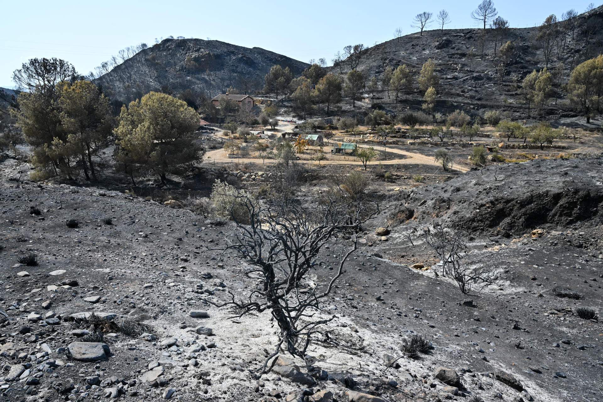 Els desapareguts a l'incendi d'Almeria: la Guàrdia Civil té per ara set denúncies