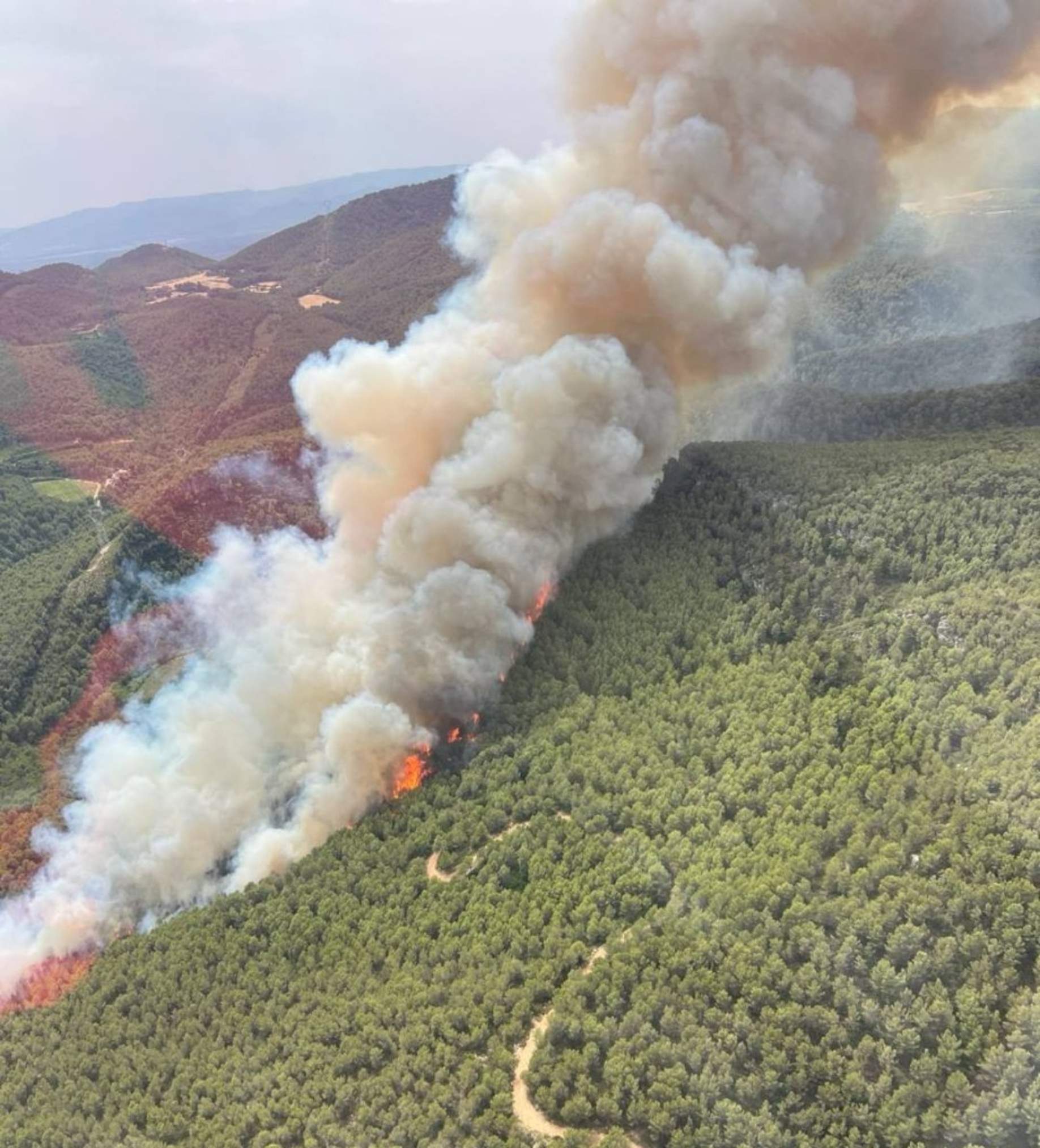 Un nuevo incendio en Aiguamúrcia vuelve a quemar el bosque y confina varios núcleos de población