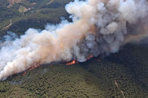 L'incendi d'Aiguamúrcia, empès pel vent de marinada, crema vegetació forestal / Agents Rurals L'incendi d'Aiguamúrcia, empès pel vent de marinada, crema vegetació forestal / Agents Rurals