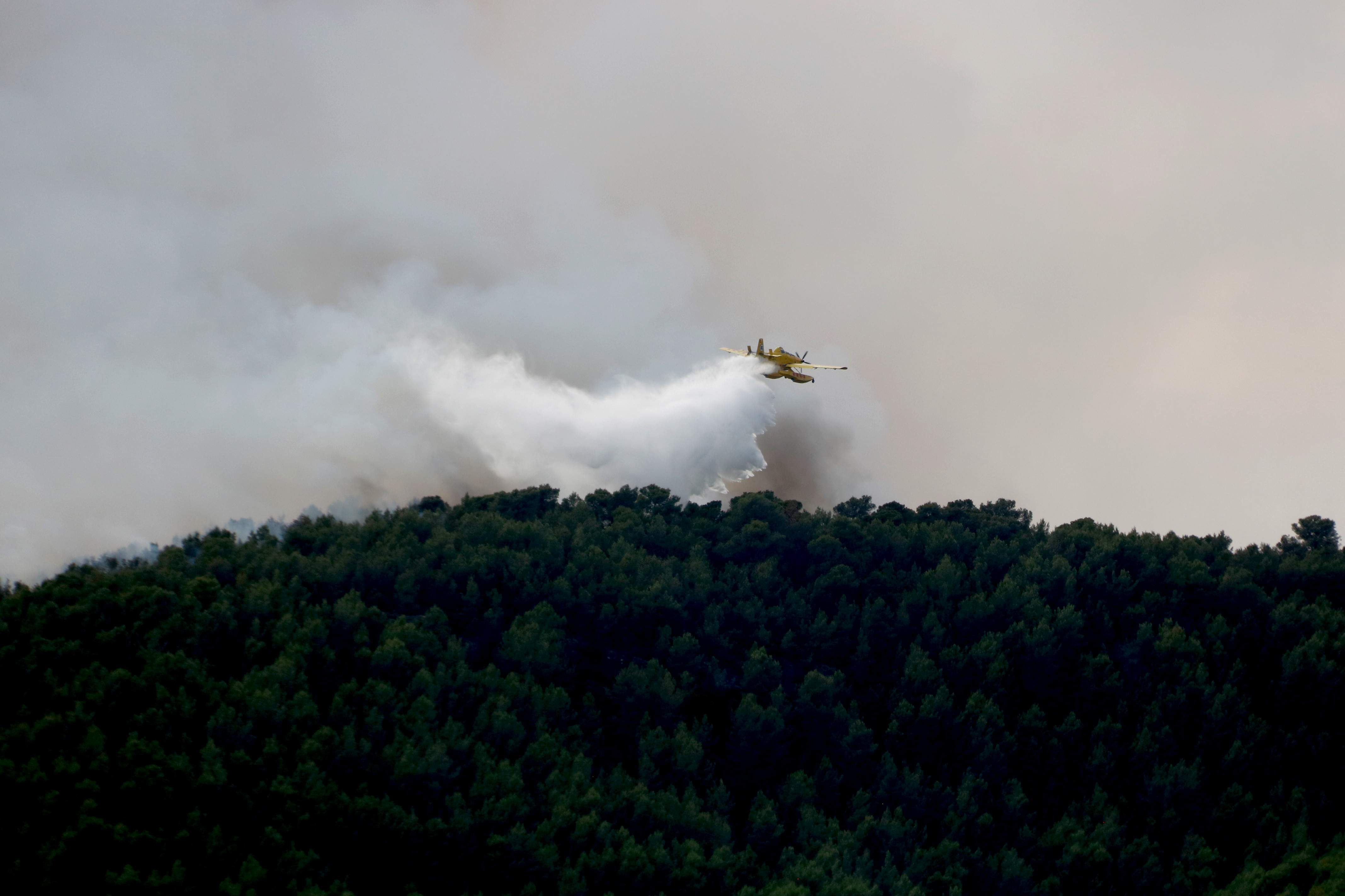 Finestra d'oportunitat pels Bombers per estabilitzar l'incendi d'Aiguamúrcia i evitar que arribi a cases