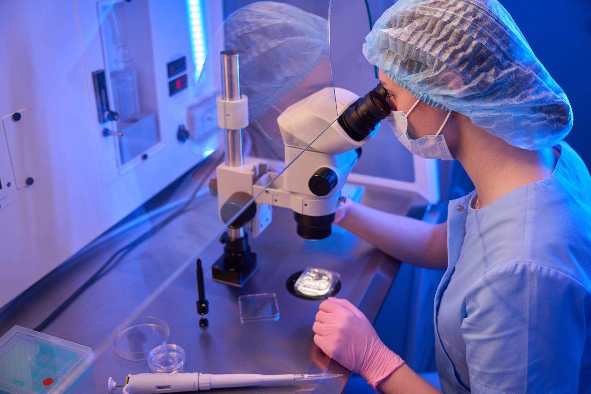 L'ús d'antioxidants pot millorar ovòcits immadurs en tractaments de fecundació 'in vitro'