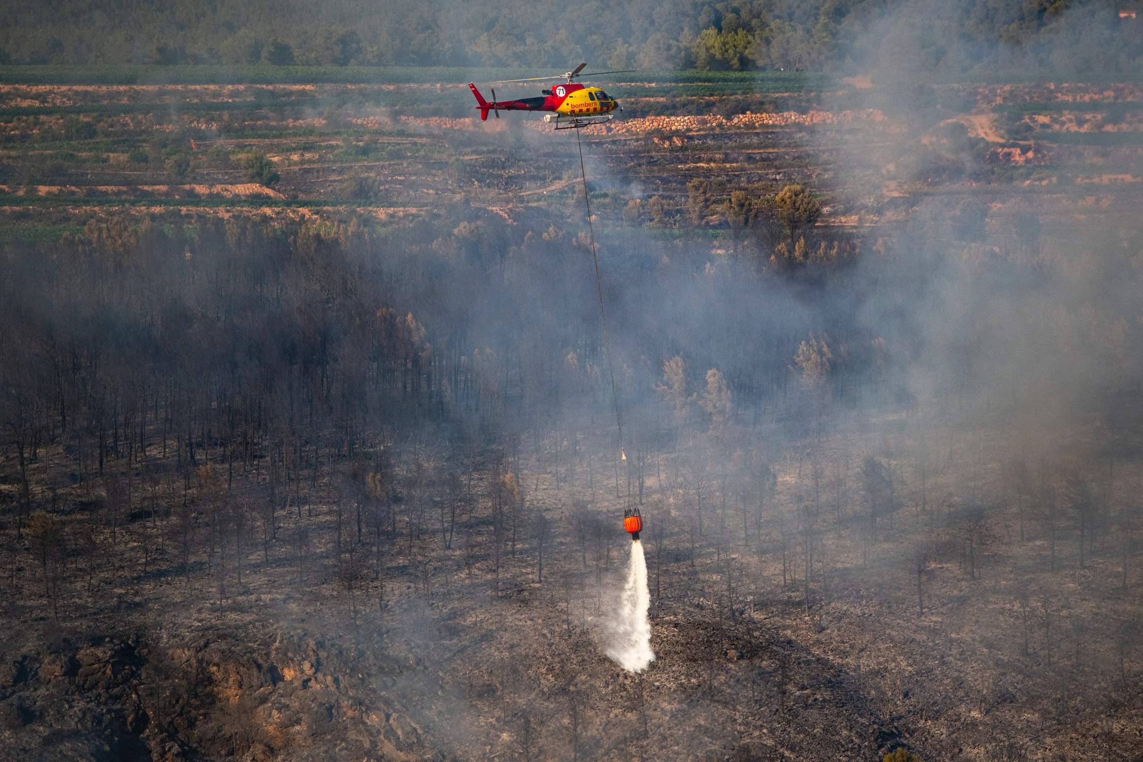 Els Mossos sospiten que els tres incendis d'Aiguamúrcia han estat intencionats i en busquen l'incendiari