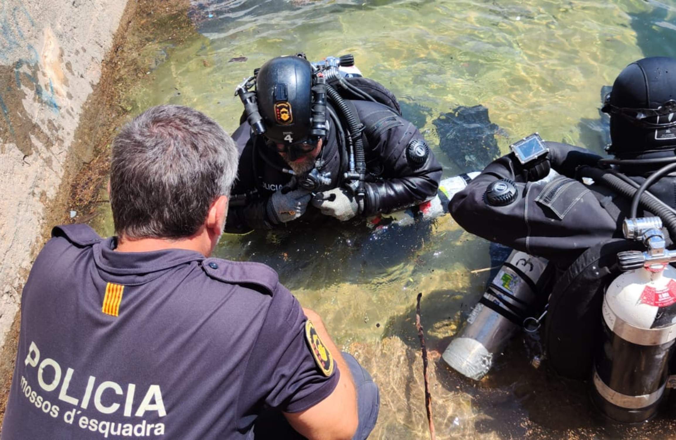 Mossos usq