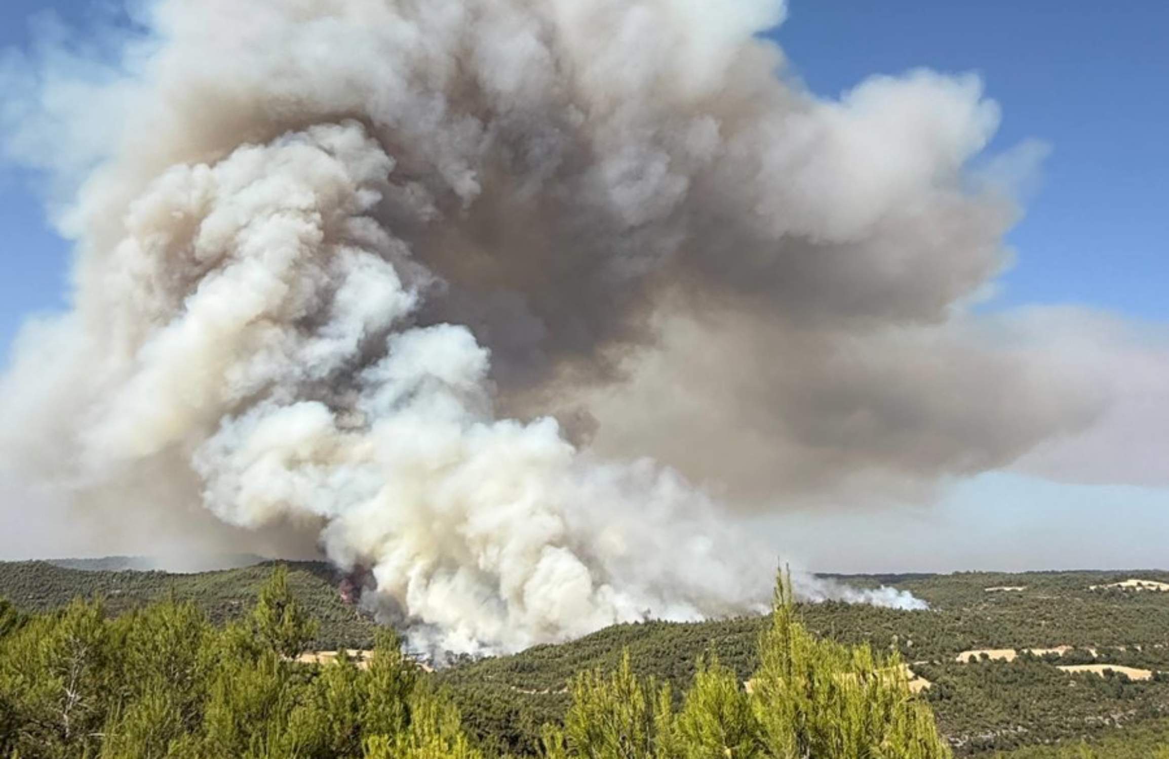 Incendi forestal fora de control a Rubió, a l'Anoia: crema encara lluny de cases però amb un gran potencial