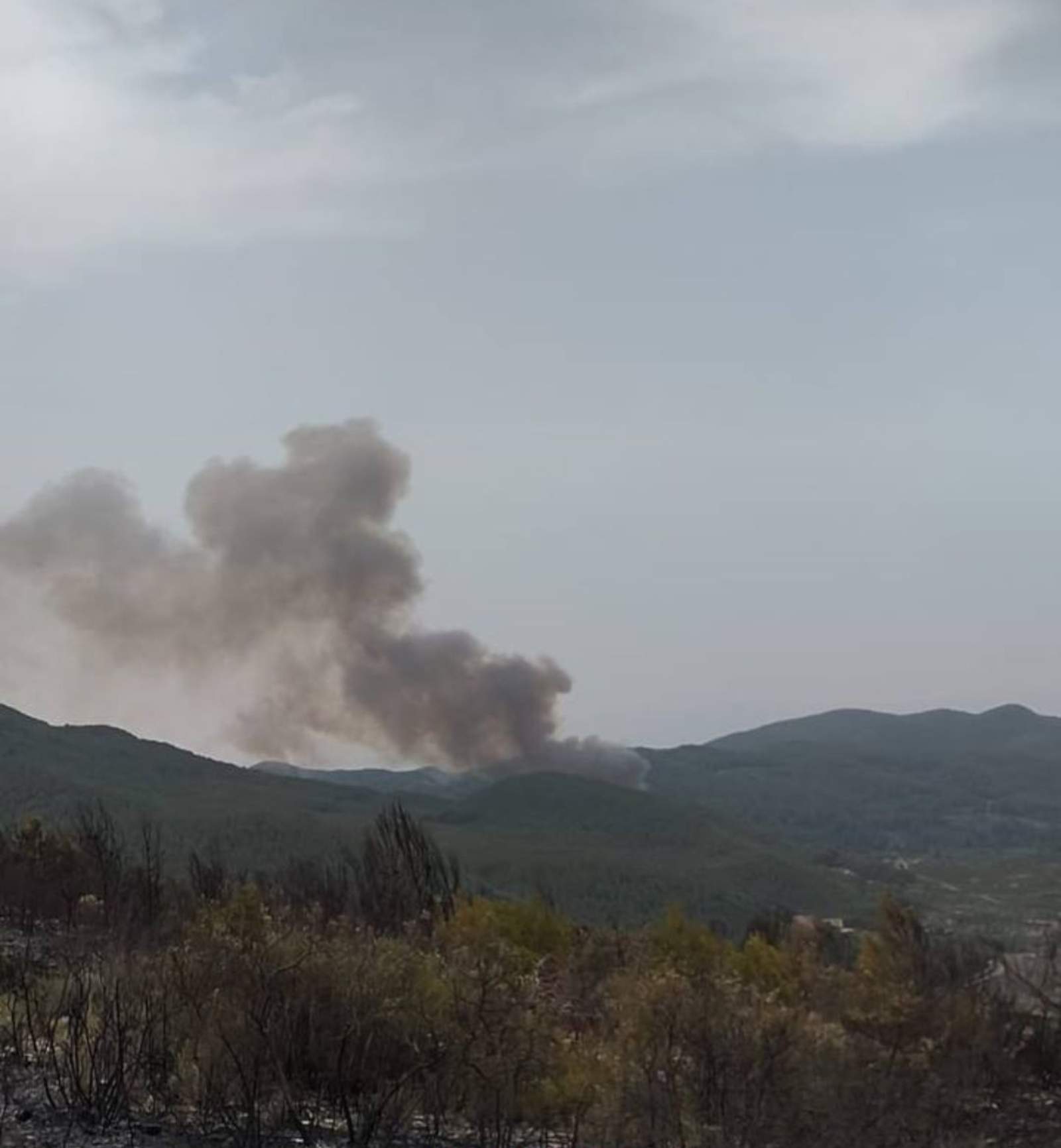 Bombers trabaja en un nuevo incendio en la zona de Aiguamúrcia: el quinto en solo una semana