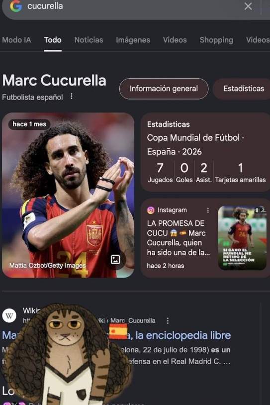 El gato Cucurella cortesia de Google El gato Cucurella cortesia de Google