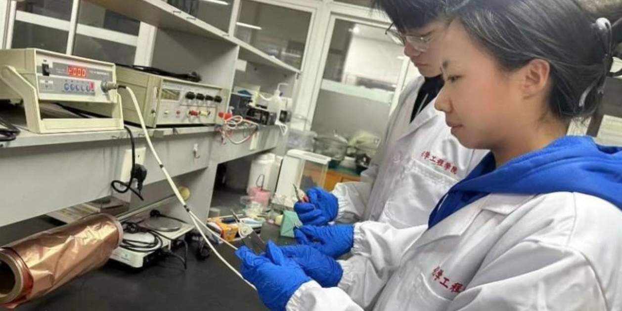 Investigadores chinos demuestran que una bateria de sodio metalico puede ser el futuro fuera del litio