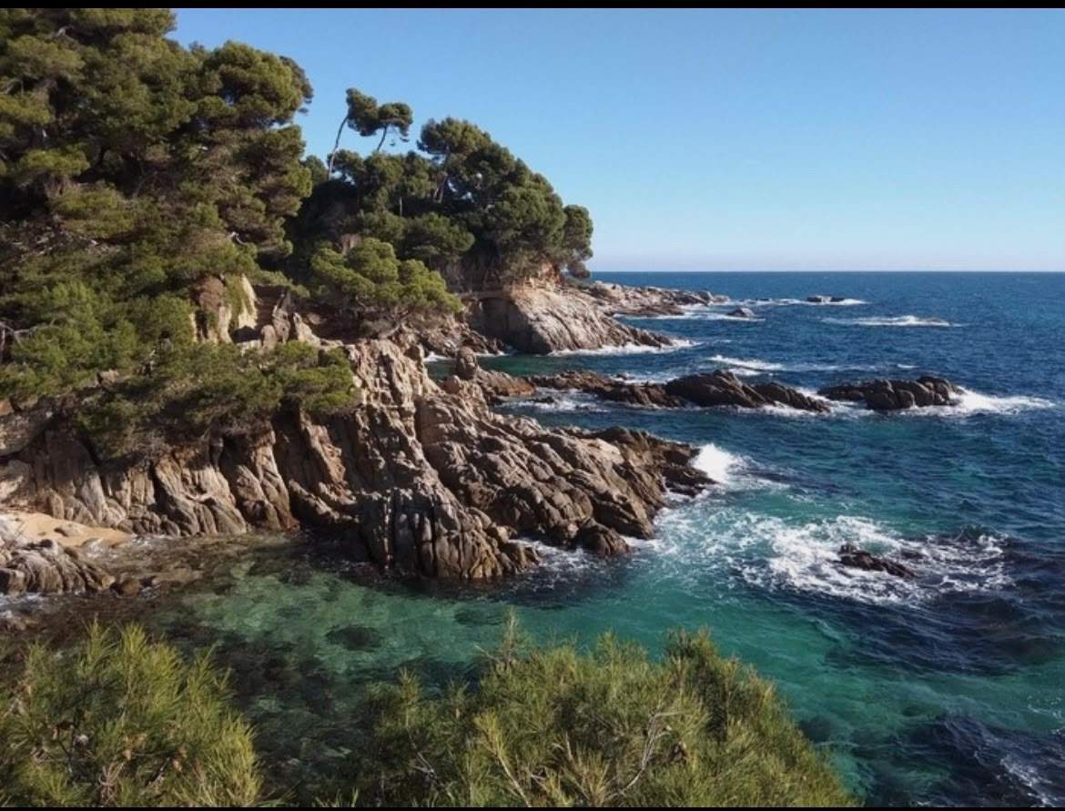 Possibles canvis de tendència a la vista. Abans, una ració de més calor