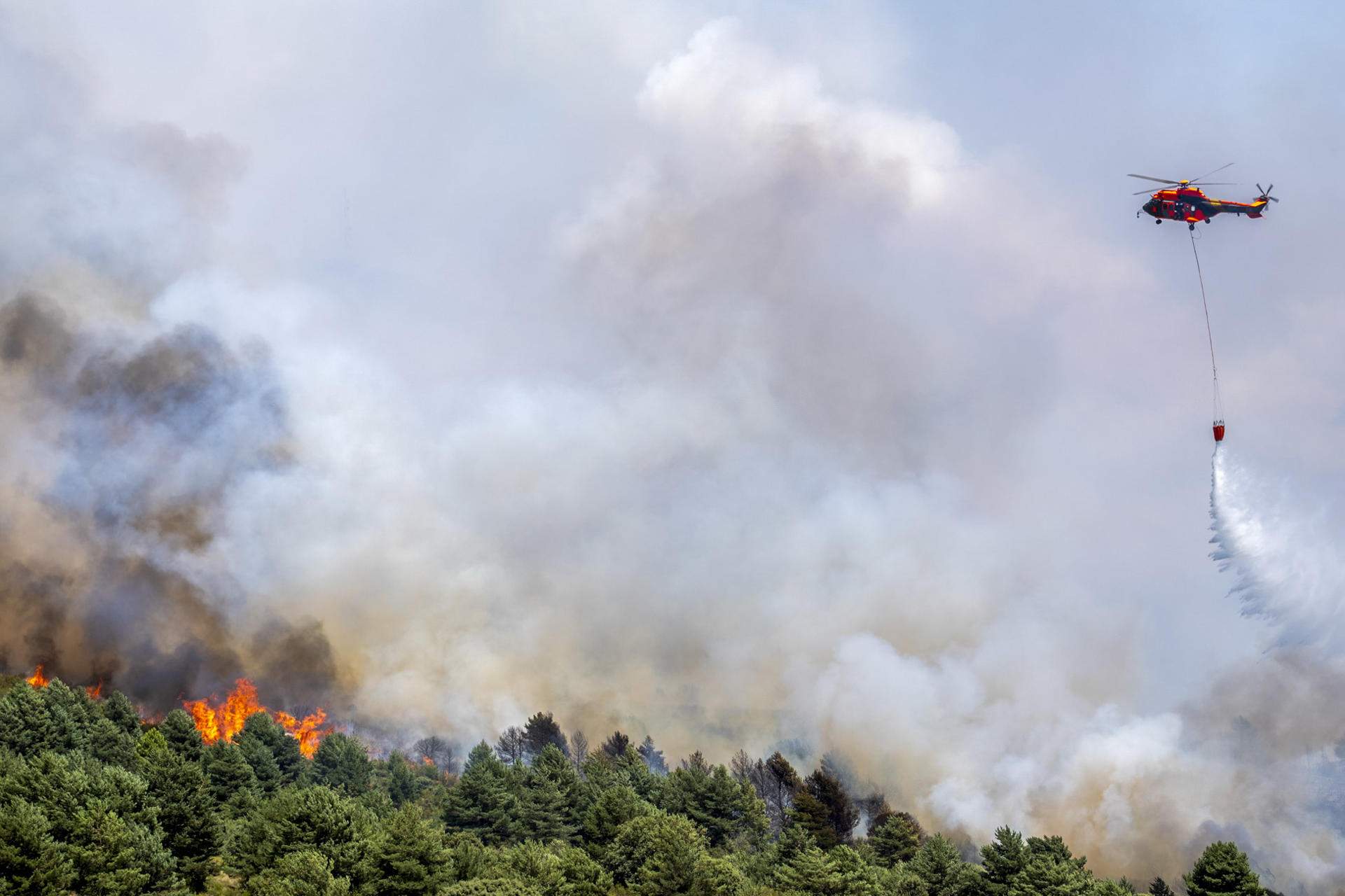 L'incendi més gran "que ha vist" Castella-la Manxa ja ha arrasat 26.000 hectàrees a Guadalajara