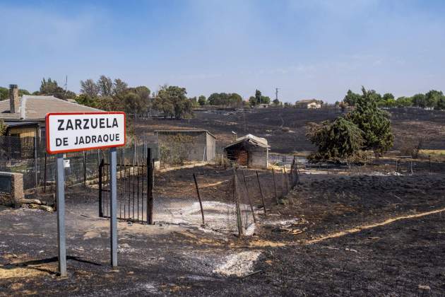 El incendio cerca de Zarzuela de Jadraque, uno de los pueblos evacuados. EFE/Nacho Izquierdo El incendio cerca de Zarzuela de Jadraque, uno de los pueblos evacuados. EFE/Nacho Izquierdo