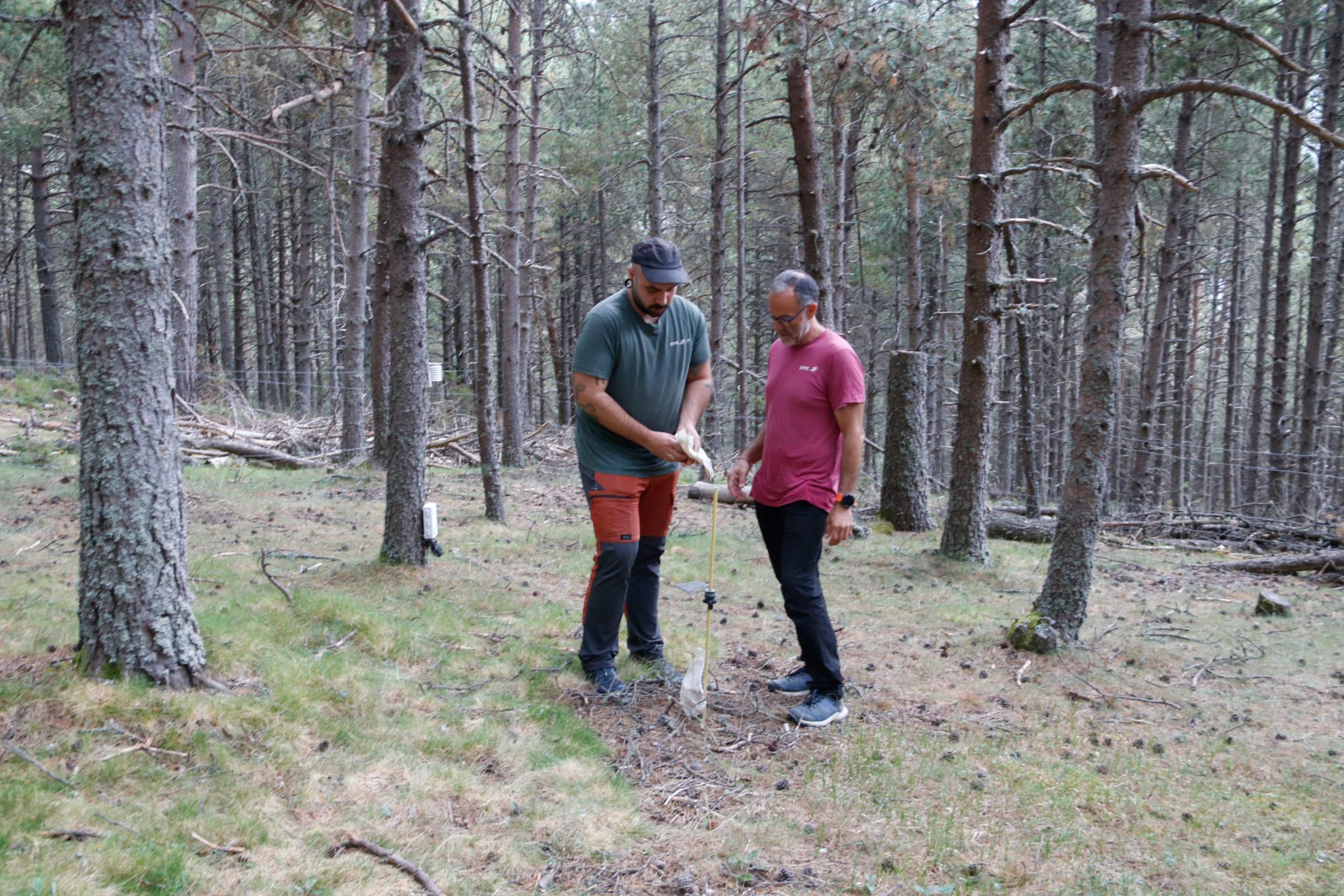 Los investigadores Juan Martínez de Aragón y Àngel Ponce, especializados en micología y tubericultura en Meranges / Foto: ACN Los investigadores Juan Martínez de Aragón y Àngel Ponce, especializados en micología y tubericultura en Meranges / Foto: ACN