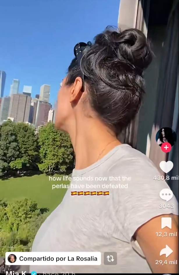 Rosalía comparteix un TikTok sobre la derrota d'Argentina / X Rosalía comparteix un TikTok sobre la derrota d'Argentina / X