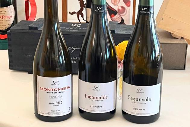 Vins de Mas Candí . / Foto: Rosa Molinero Trias