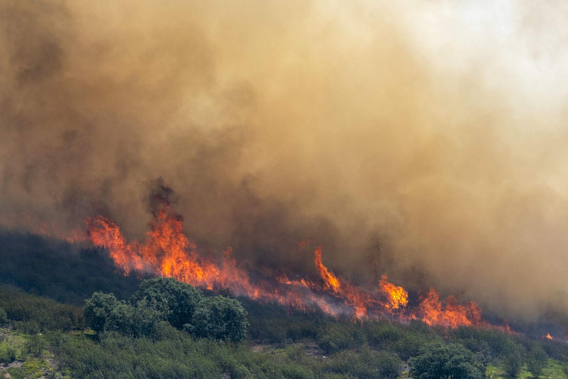 L'incendi de Guadalajara fa disparar totes les alarmes a l'Estat espanyol i a Europa