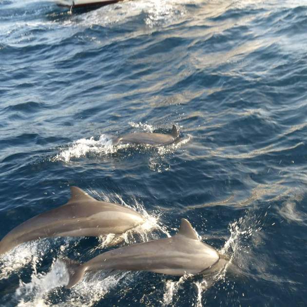 Les fotos que Clàudia Pina ha compartit de Maldives / Instagram Les fotos que Clàudia Pina ha compartit de Maldives / Instagram