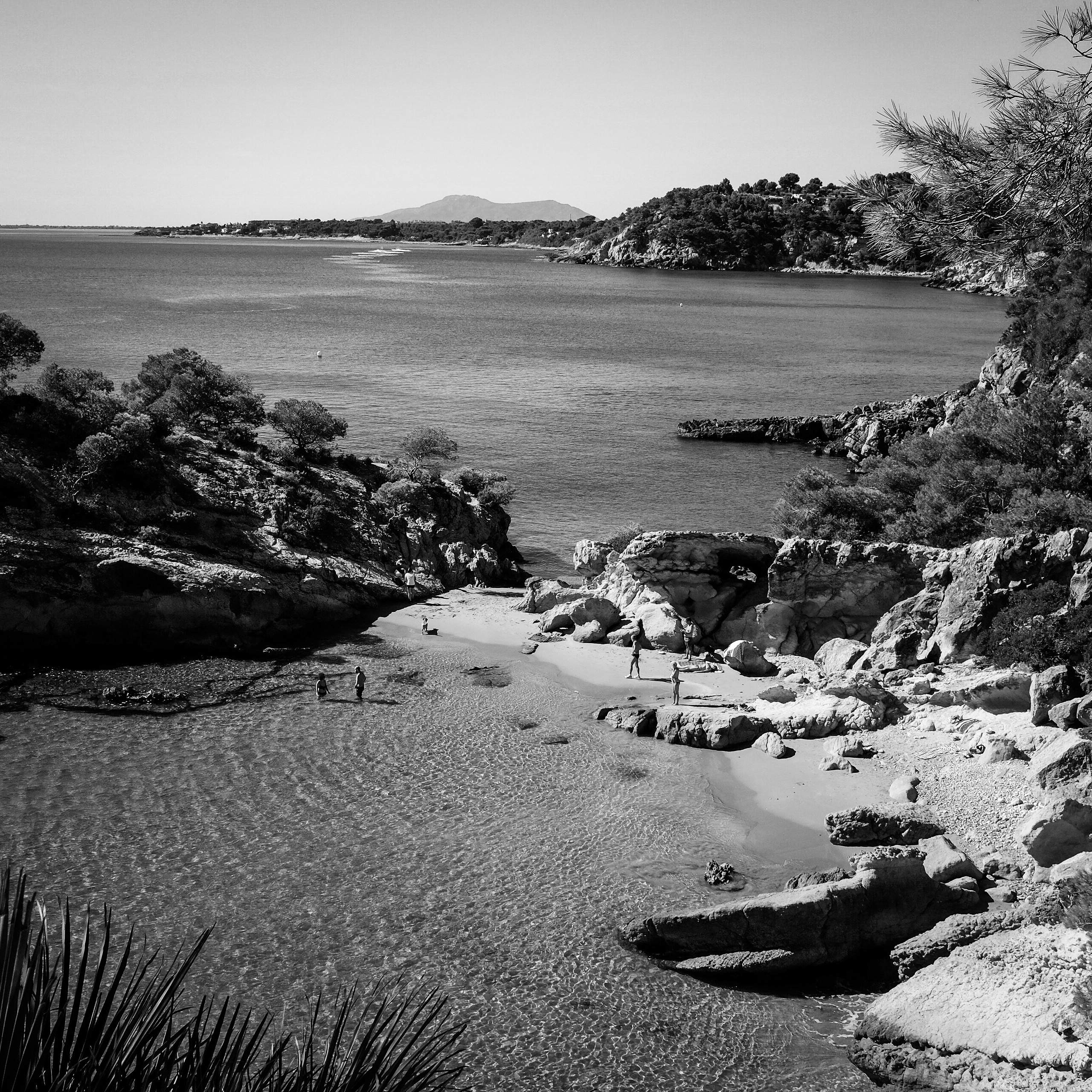 L'Ametlla de Mar (52460030591)