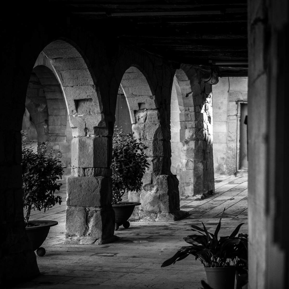 horta terra alta 0217