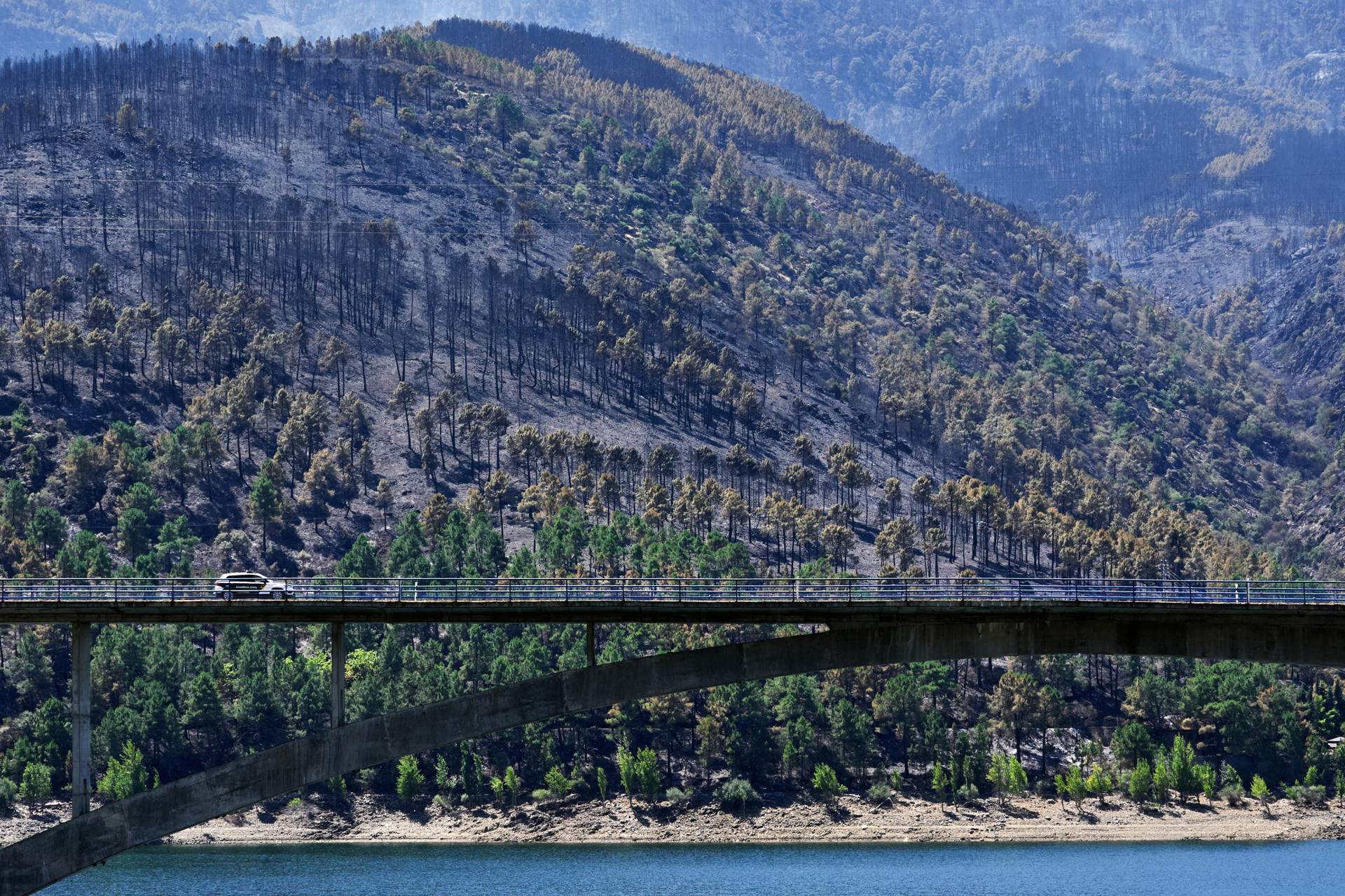 Alerta al gran incendi de Madrid i Àvila: dos dies decisius davant l'onada de calor prevista