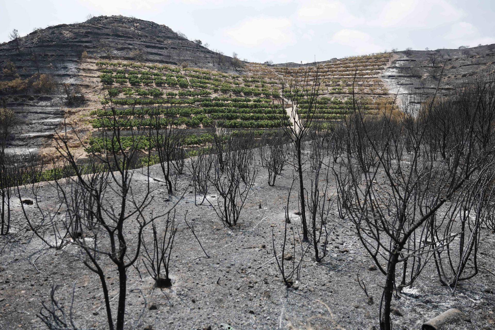 Incendi a la Vall d'Uixó / EFE/Kai Försterling