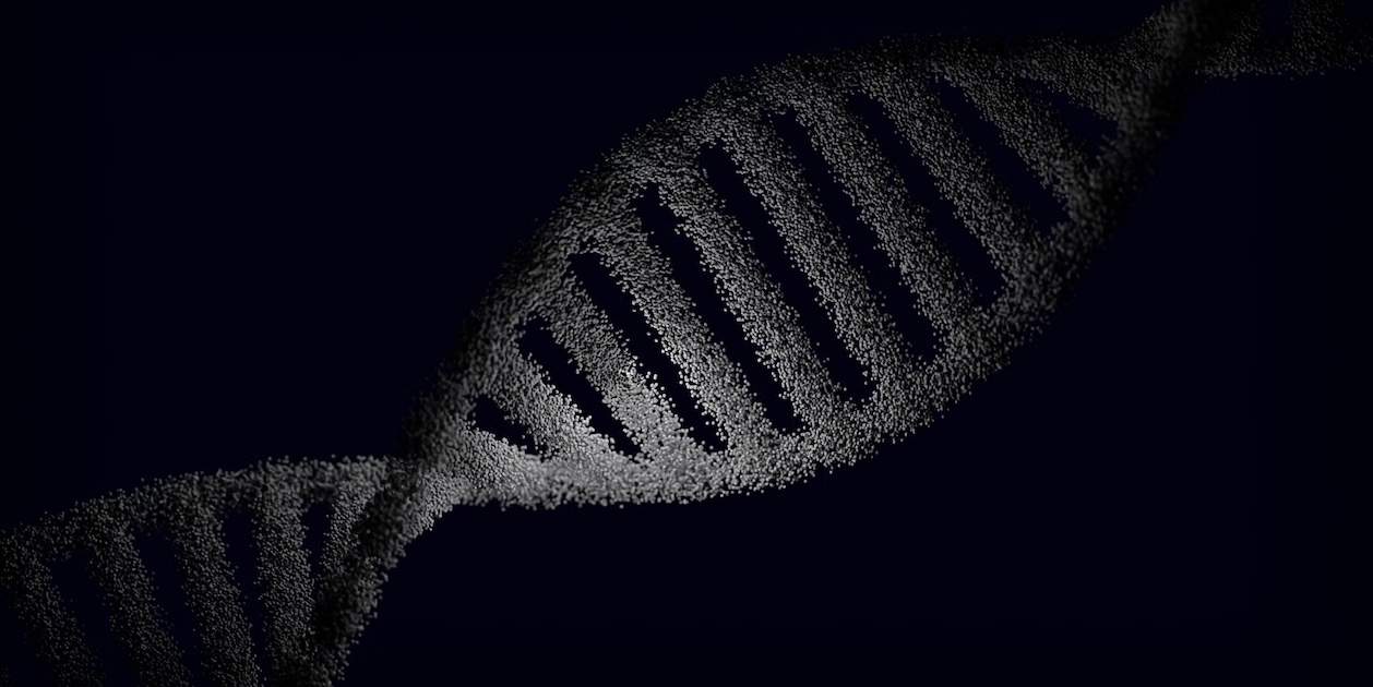 El nostre ADN conté el rastre d'una espècie humana fantasma que ningú ha vist mai