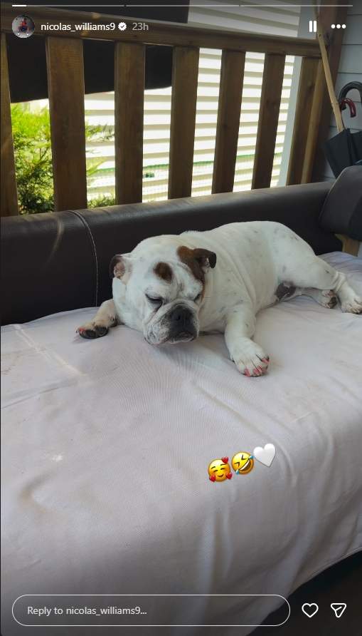 Nico Williams amb la mascota que tenia amb Ainhi / Instagram