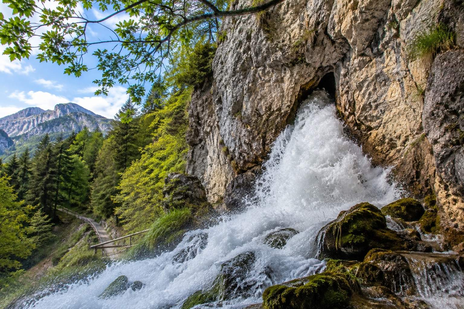 La ruta fácil en Catalunya para descubrir una fuente natural que te dejará boquiabierto