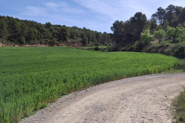 Camí de l'Aubareda / Foto: Wikiloc Camí de l'Aubareda / Foto: Wikiloc