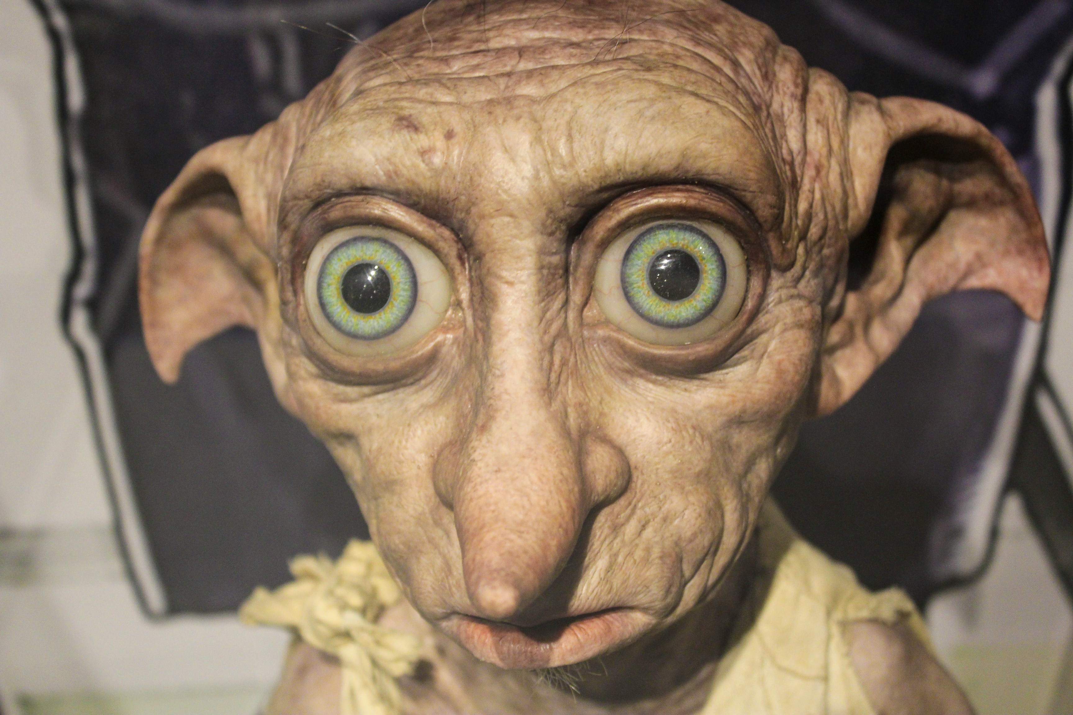 Els fans de Harry Potter desvien un cable de 500 milions d’euros per salvar la tomba d'en Dobby