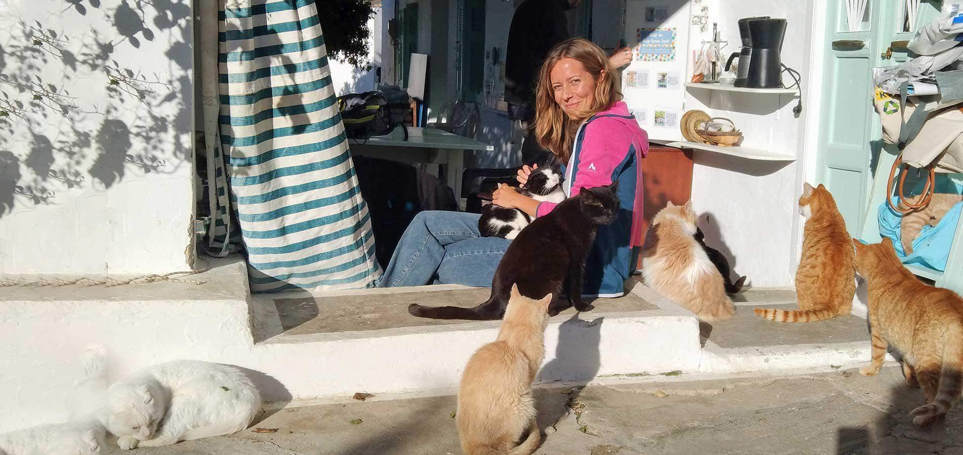 Viure gratis a una illa grega a canvi de cuidar gats abandonats: la curiosa oferta de feina