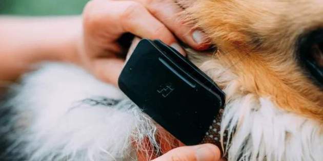 Fi Ultra para perros Fi Ultra para perros