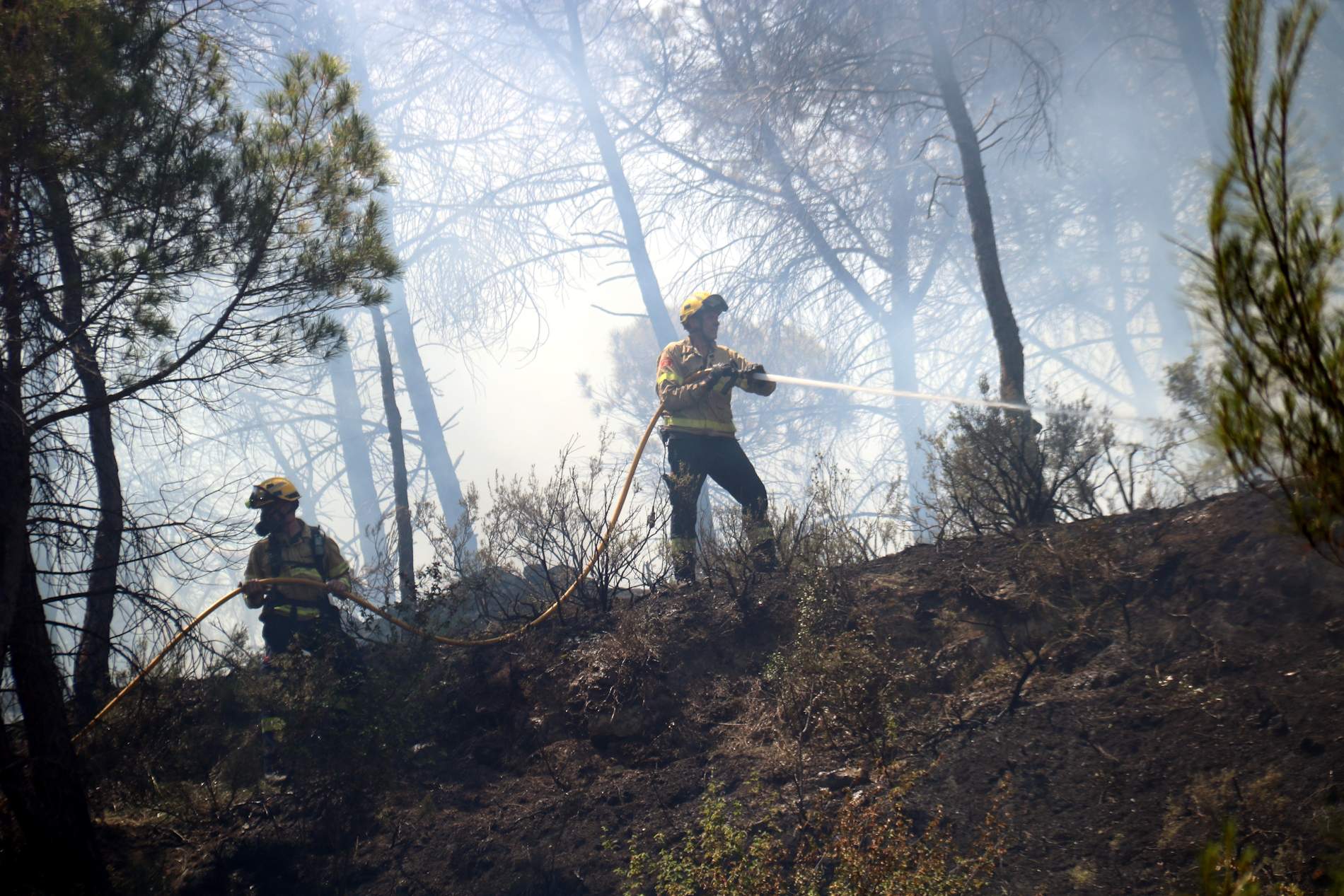 La estrategia contra las llamas: así combaten los Bombers los incendios forestales