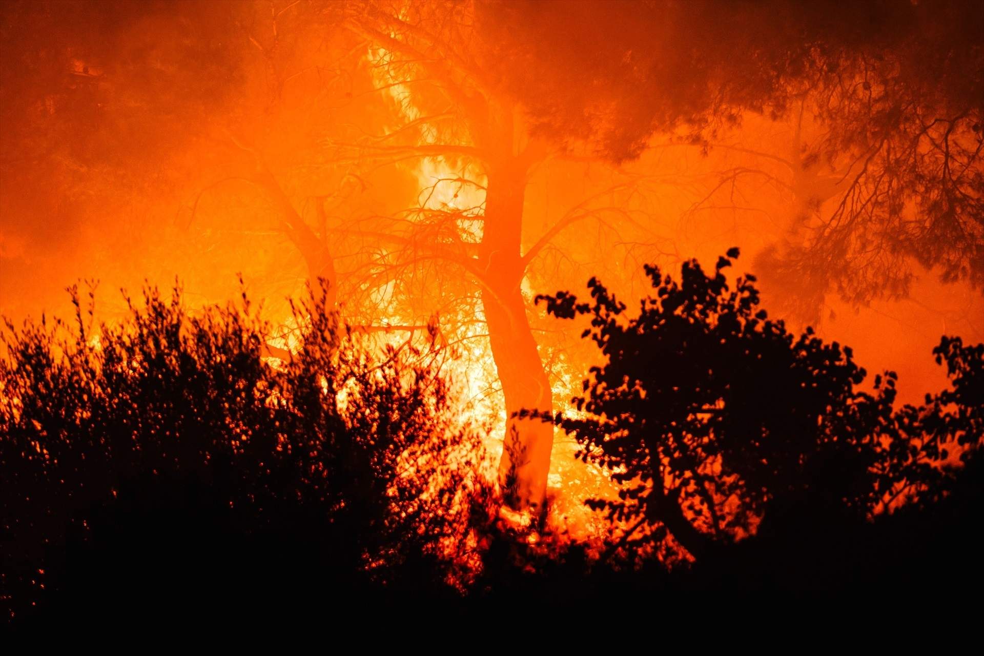 Verano apocalíptico en Europa, que afronta una ola de incendios sin precedentes