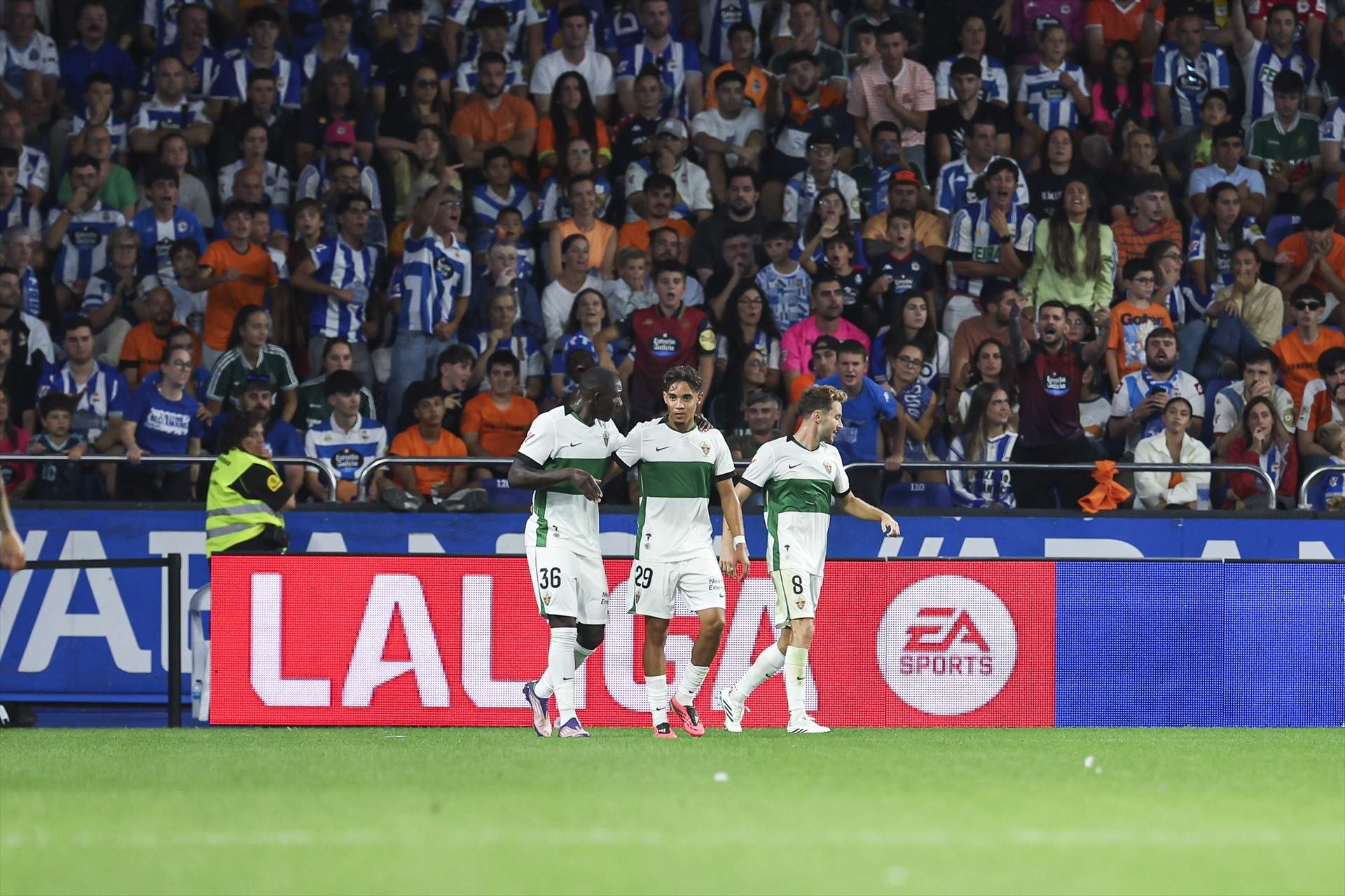 Elx Deportivo / Foto: Europa Press