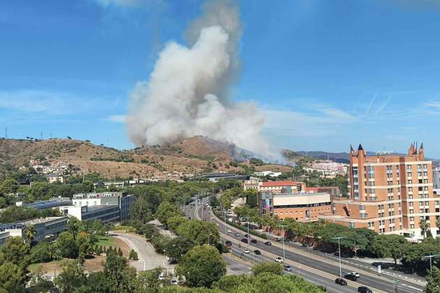 collserola incendi