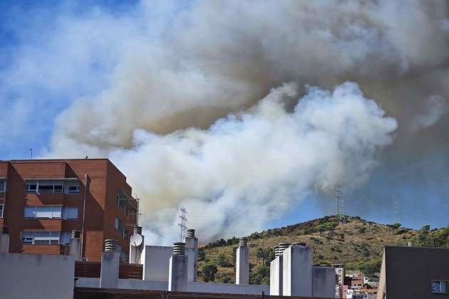 collserola incendi forestal