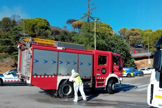pesta porcina incendis collserola
