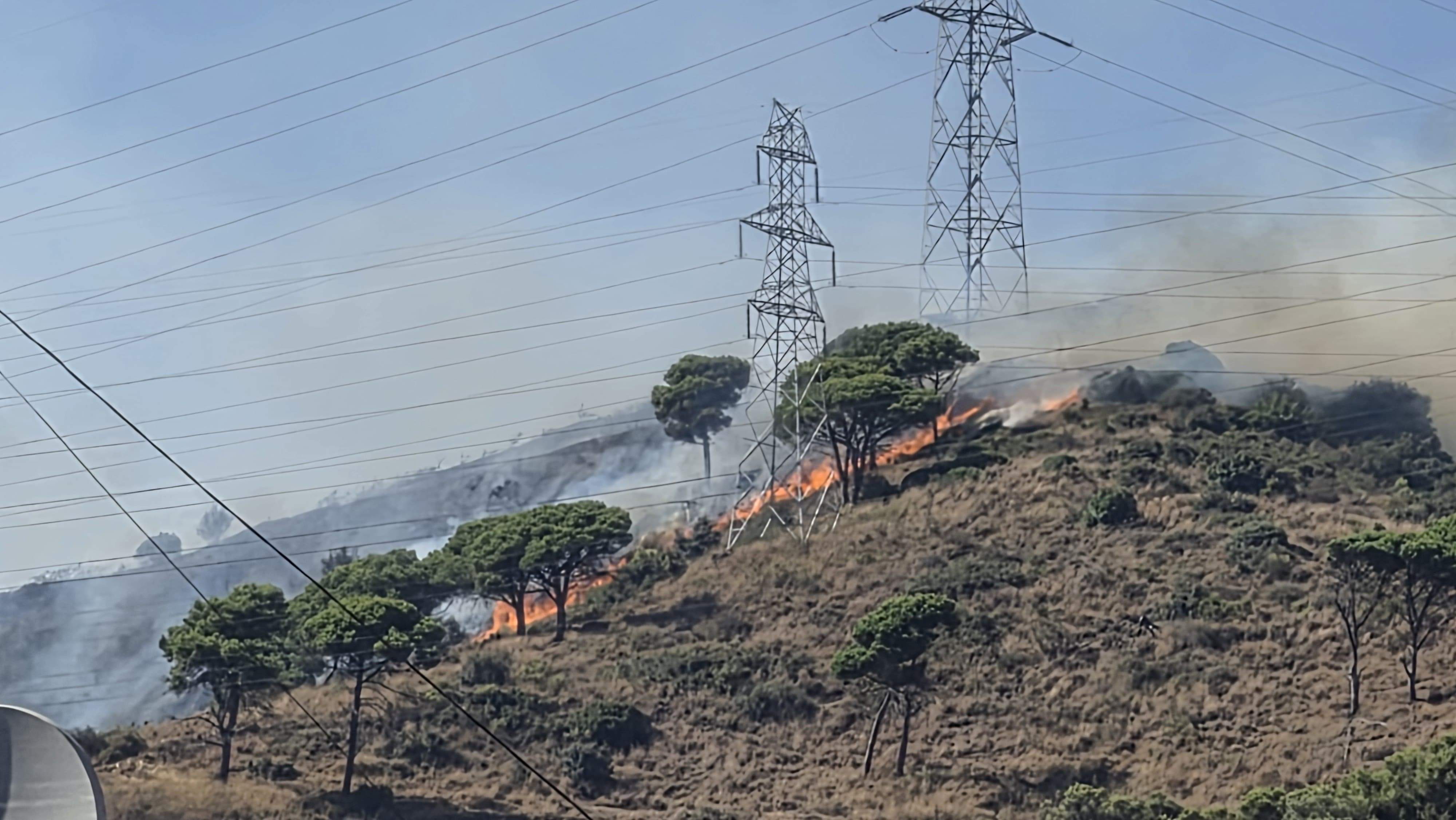 El primer Es-Alert pel foc a Collserola no fa efecte: el Govern n'envia un segon demanant "civisme"