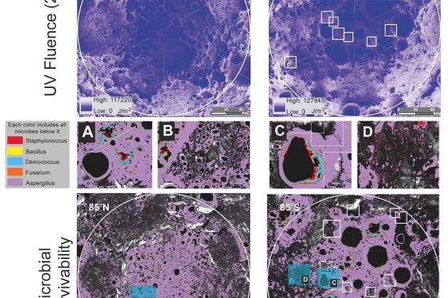 Supervivencia microbiana en las regiones polares de la Luna Supervivencia microbiana en las regiones polares de la Luna