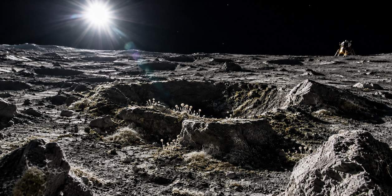 NASA: los microbios de la Tierra pueden sobrevivir en la Luna, "necesitamos entender qué hubo antes"