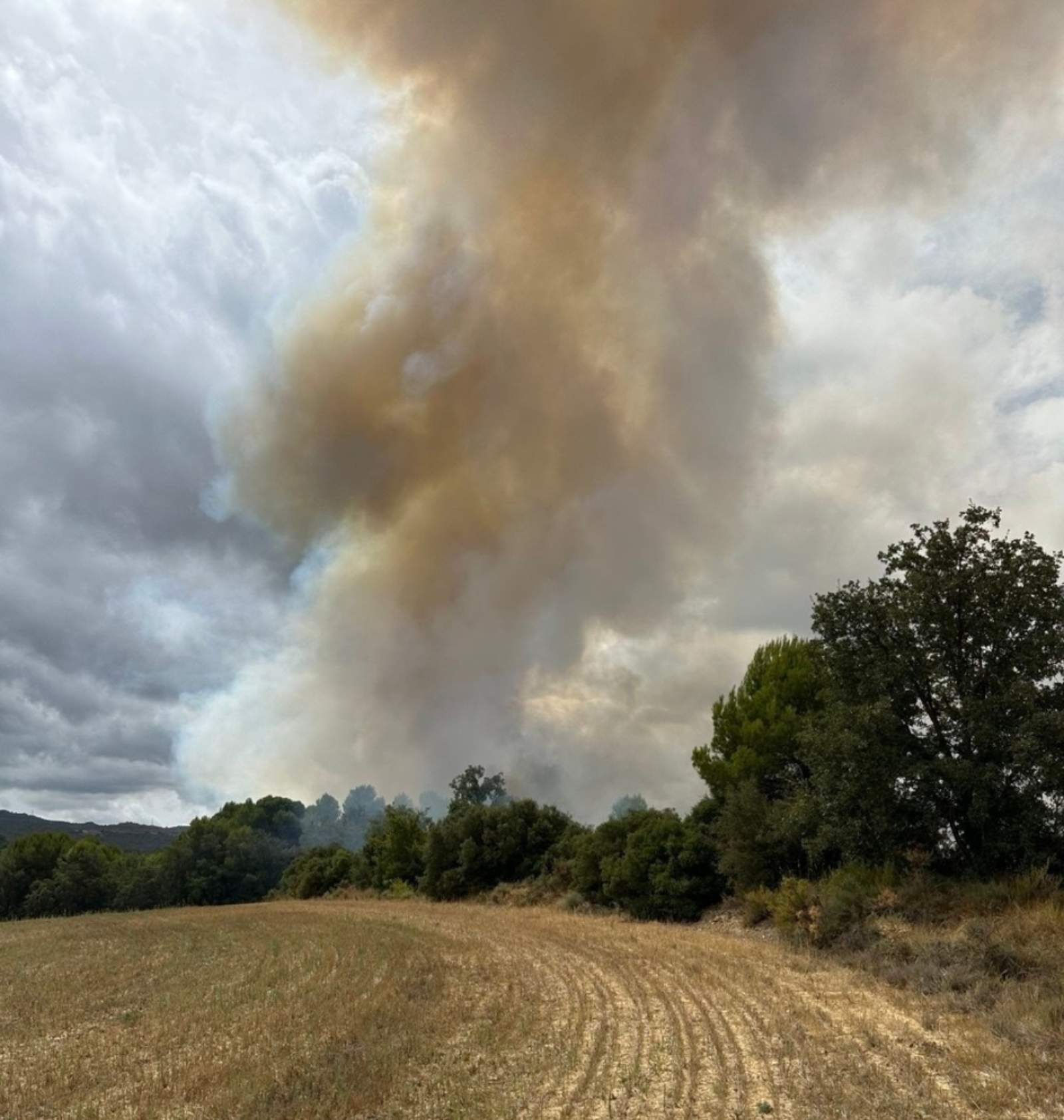 Un incendio de vegetación en Sarral obliga a cortar completamente la carretera C-241d