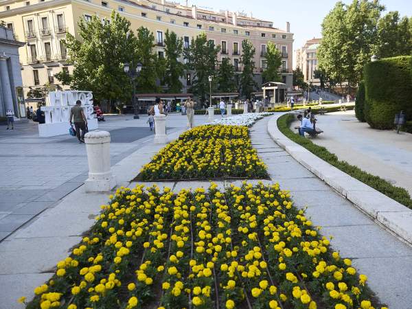 EuropaPress 7562039 flores amarillas blancas recien plantadas plaza oriente 31 mayo 2026 madrid EuropaPress 7562039 flores amarillas blancas recien plantadas plaza oriente 31 mayo 2026 madrid