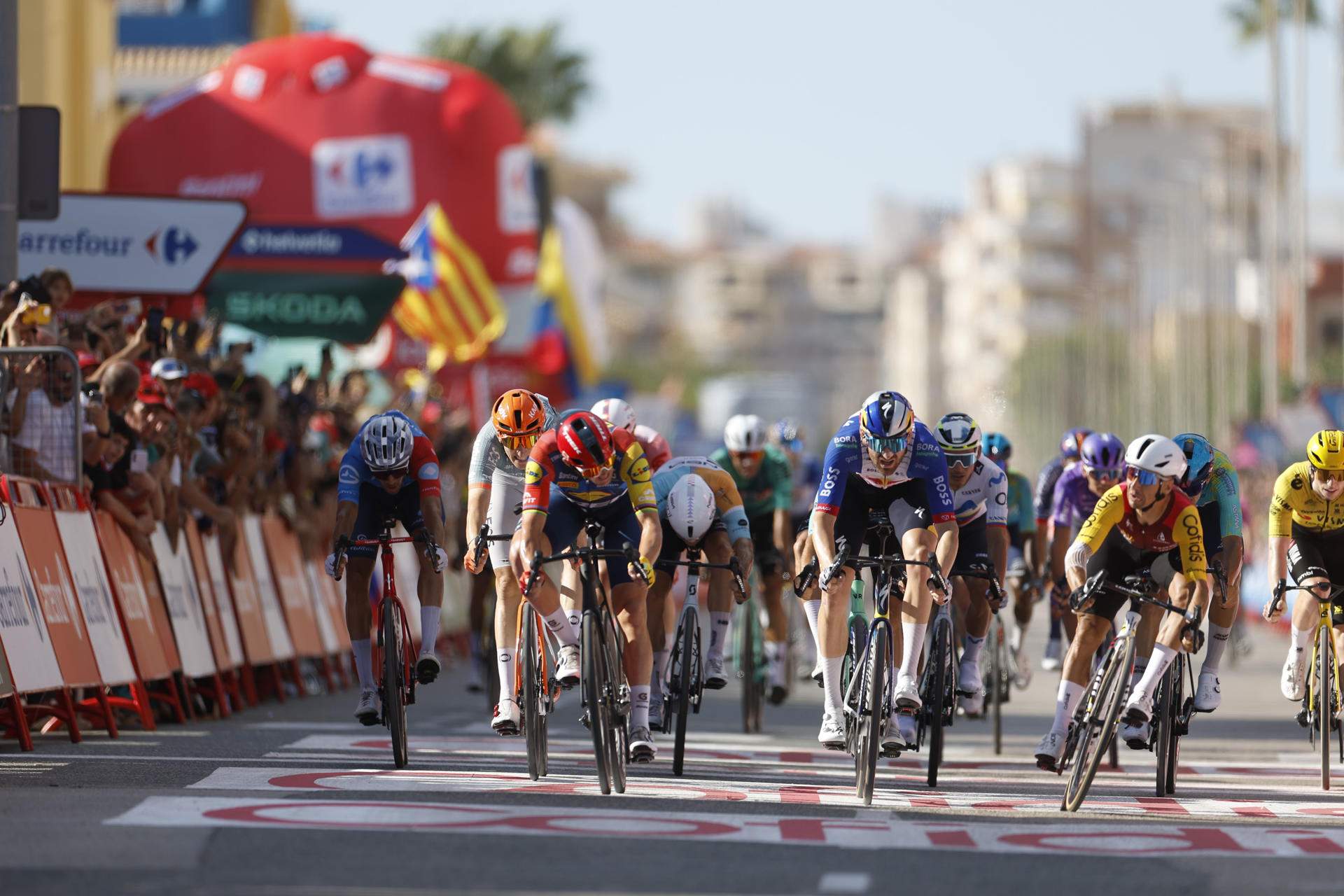 Bryan Coquard s’imposa a Xeraco en un final caòtic que deixa la Vuelta sense Tadej Pogacar